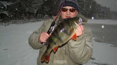 wędkarstwo podlodowe